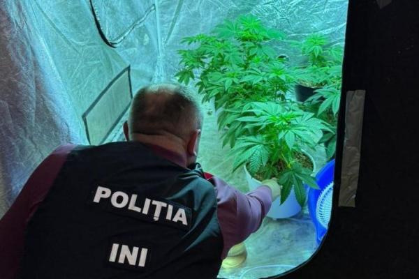 Afacere cu droguri pe Telegram: Doi suspecți reținuți