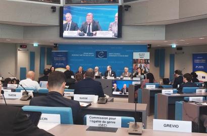 Participarea reprezentantei IGP la Conferința Consiliului Europei privind combaterea infracțiunilor motivate de prejudecată.