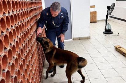 O delegație a IGP a efectuat o vizită de studiu în Franța, pentru schimb de bune practici și cunoștințe în domeniul chinologic.